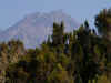 kilimanjaro0826-05.jpg (127030 oCg)
