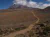 kilimanjaro0828-05.jpg (117501 oCg)