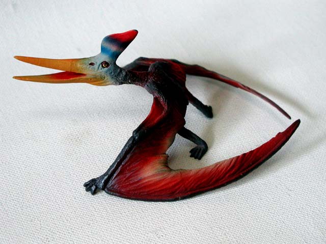 プテラノドン プテラノドン(Pteranodon)