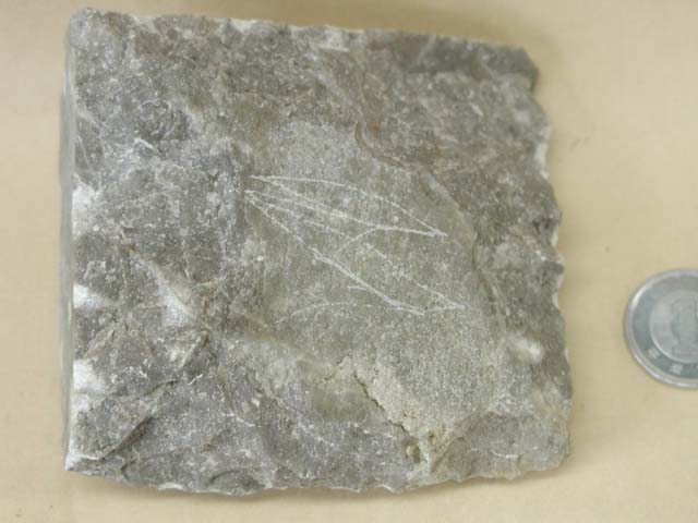チャート 石灰岩