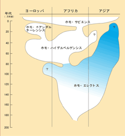 人類の起源