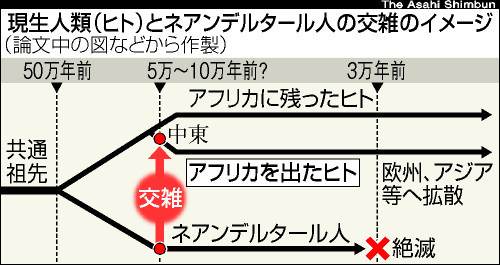 遺伝子 ネアンデルタール 人 の コロナ軽症化の遺伝子？ ネアンデルタール人から：朝日新聞デジタル