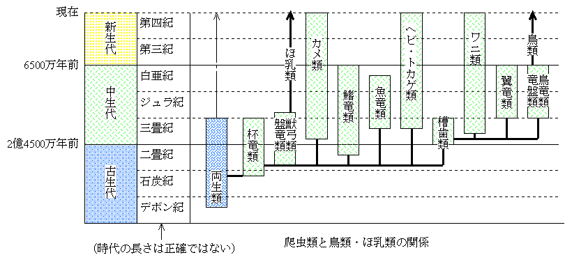 生物の進化