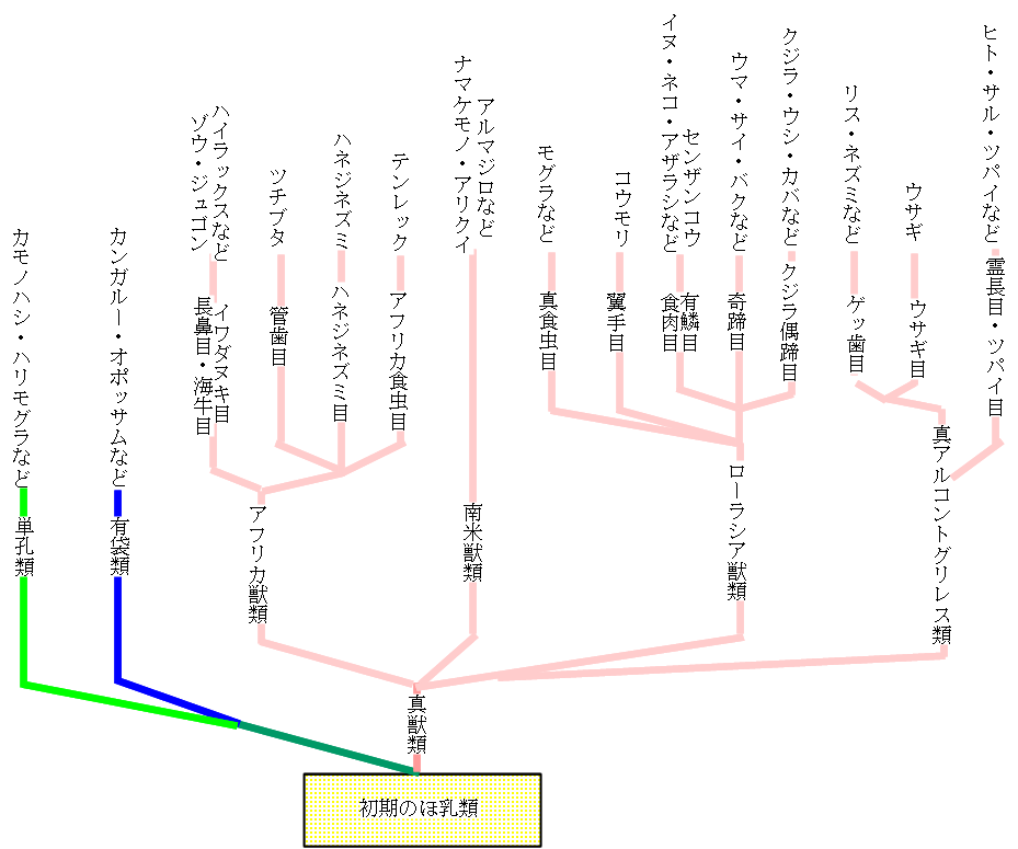 生物の進化