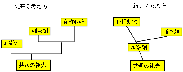 生物の進化