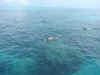 australia02-015.jpg (93950 バイト)