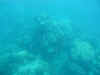 australia02-023.jpg (58215 バイト)