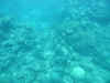 australia02-024.jpg (108559 バイト)
