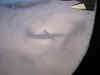 20090330-05.jpg (58022 oCg)