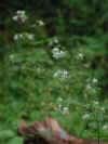 20050728-43.jpg (53147 oCg)