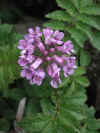 20050728-55.jpg (70043 oCg)