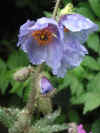 20050728-58.jpg (71537 oCg)