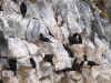 pata0101-21.jpg (141671 oCg)