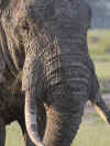 kenyadec24-05.jpg (228402 バイト)