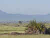 kenyadec24-06.jpg (199406 バイト)