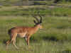 kenyadec24-08.jpg (250574 バイト)