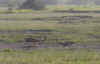 kenyadec24-11.jpg (155676 バイト)