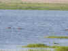 kenyadec24-12.jpg (209980 バイト)