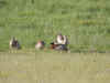 kenyadec24-13.jpg (231342 バイト)