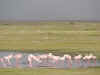 kenyadec24-14.jpg (159100 バイト)