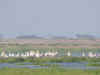 kenyadec24-15.jpg (151080 バイト)