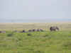 kenyadec24-20.jpg (176196 バイト)