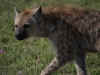 kenyadec24-24.jpg (167196 バイト)