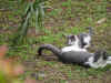 kenyadec24-30.jpg (299840 バイト)