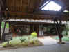 kenyadec24-32.jpg (265828 バイト)