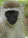 kenyadec24-35.jpg (212659 バイト)