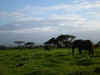 kenyadec24-44.jpg (175672 バイト)