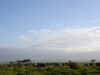 kenyadec24-47.jpg (129954 バイト)