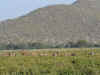 kenyadec27-13.jpg (242058 oCg)