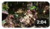 blackmagic20250827.jpg (10694 oCg)
