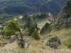 gairin2014-19.jpg (378991 oCg)