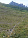 gairin2014-29.jpg (395368 oCg)