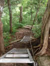 dainichi0810-15.jpg (150765 oCg)