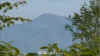 mitosan20120608-02.jpg (8143 バイト)