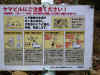 20130205ohyama-51.jpg (149259 oCg)