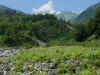 shiroumaasahi20140726-23.jpg (404427 oCg)