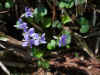 20140504-12.jpg (190677 oCg)