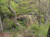 20130419takaojinba-16.jpg (535107 oCg)