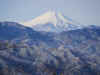 fujisan.JPG (1244369 バイト)
